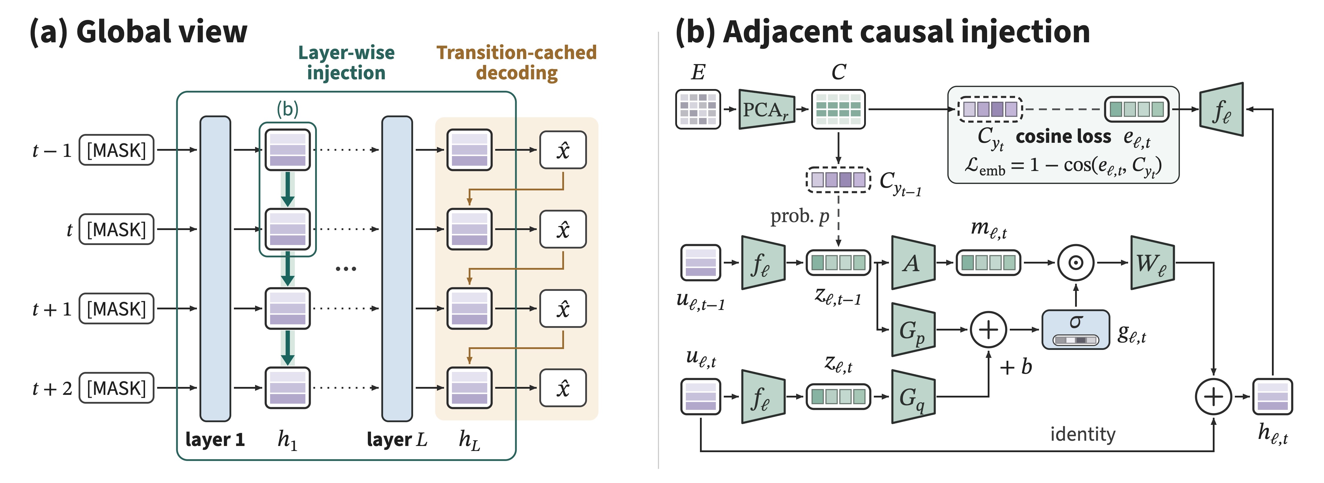 DSpine overview: (a) injection passes predecessor features to successors at every layer, and transition-cached decoding selects each token conditioned on its selected predecessor; (b) one injection layer with gate, message, and write-back.